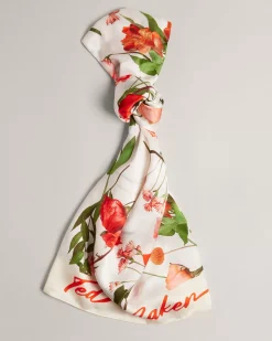Fionaas