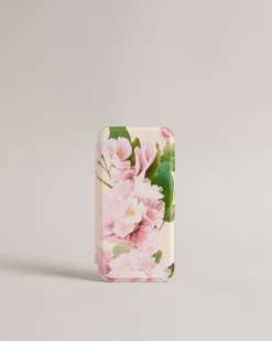 Lirion